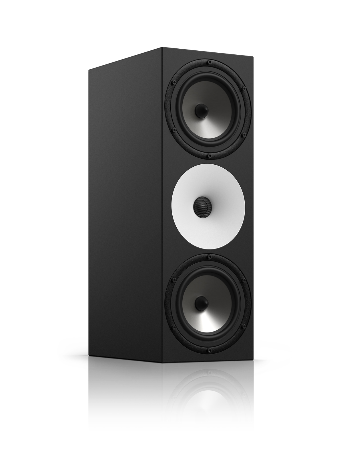 Amphion Two18 Pair (B-Ware)